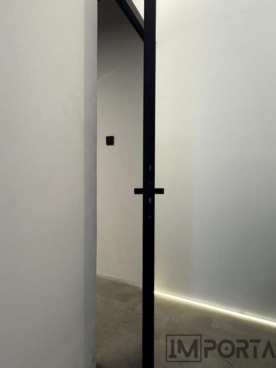 concealed-black-painted-door-black-trim.jpg (1)