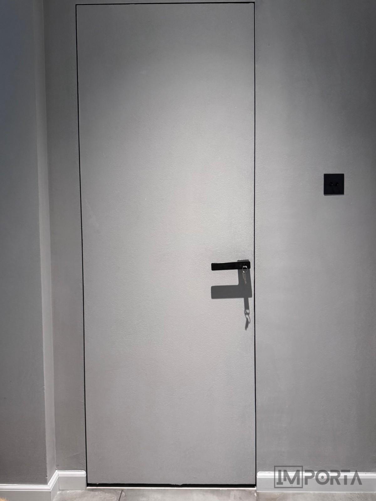 paintable-flush-door-aluminum-frame-importa.jpg