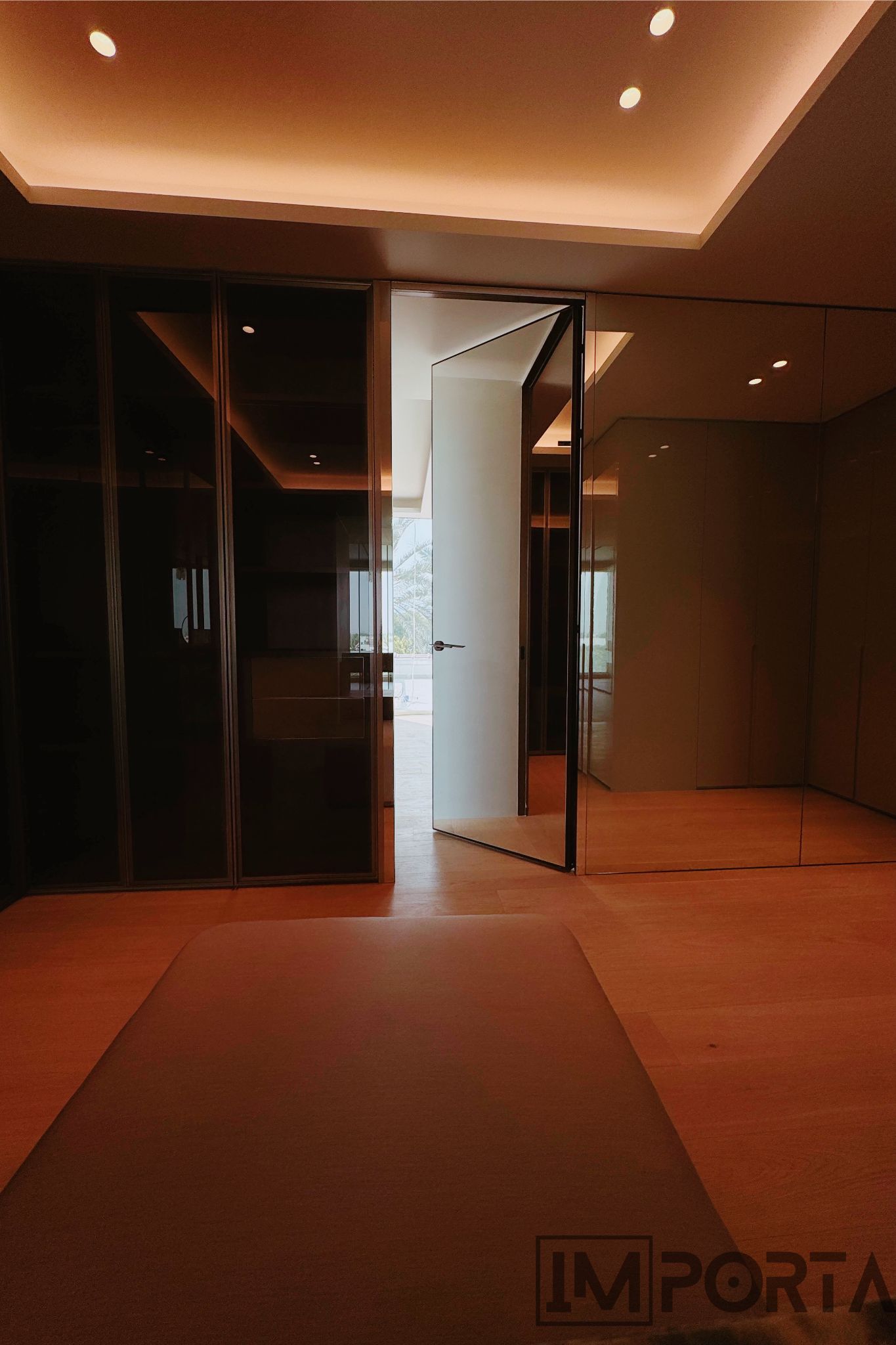 mirror-hinged-with-door-black-profile-importa.jpg