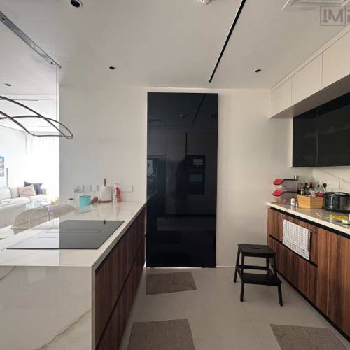 hidden track magic sliding door design