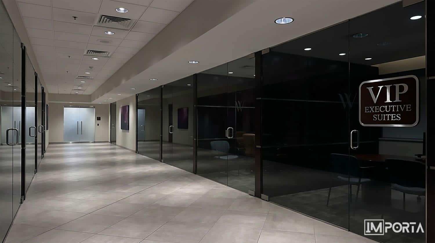 tinted-glass-pivot-door-12mm-dubai-importa tinted glass pivot door 12mm dubai importa