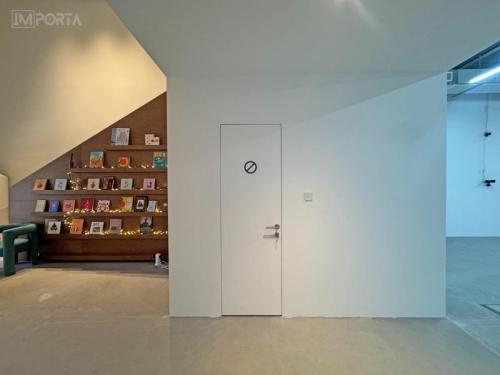 flush-white-primed-door-corporate-space