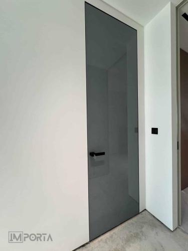 minimalist-tempered-glass-concealed-door-system