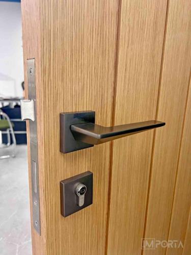 teramo jf01 door handle black importa